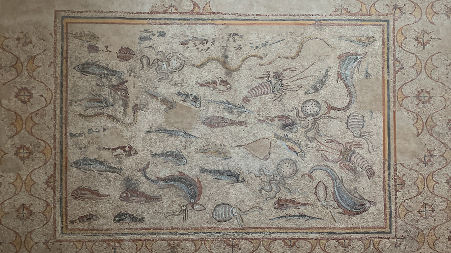 Grup Transversal will carry out the National Archaeological Museum of Tarragona (MNAT)
