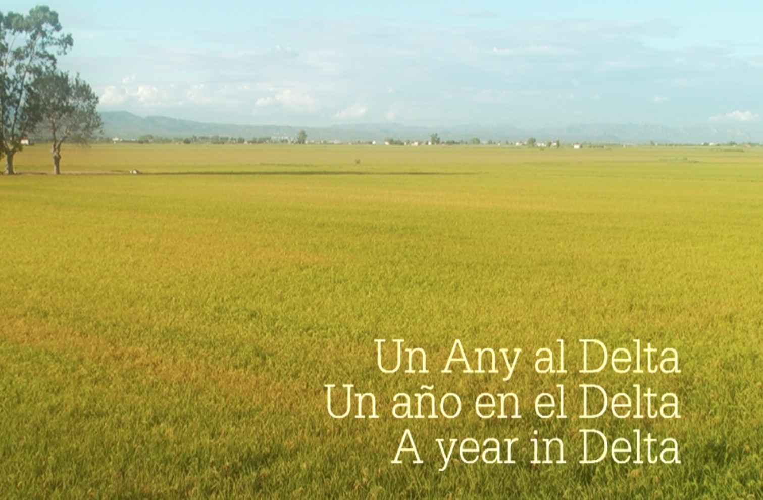 «Un any al Delta»  1